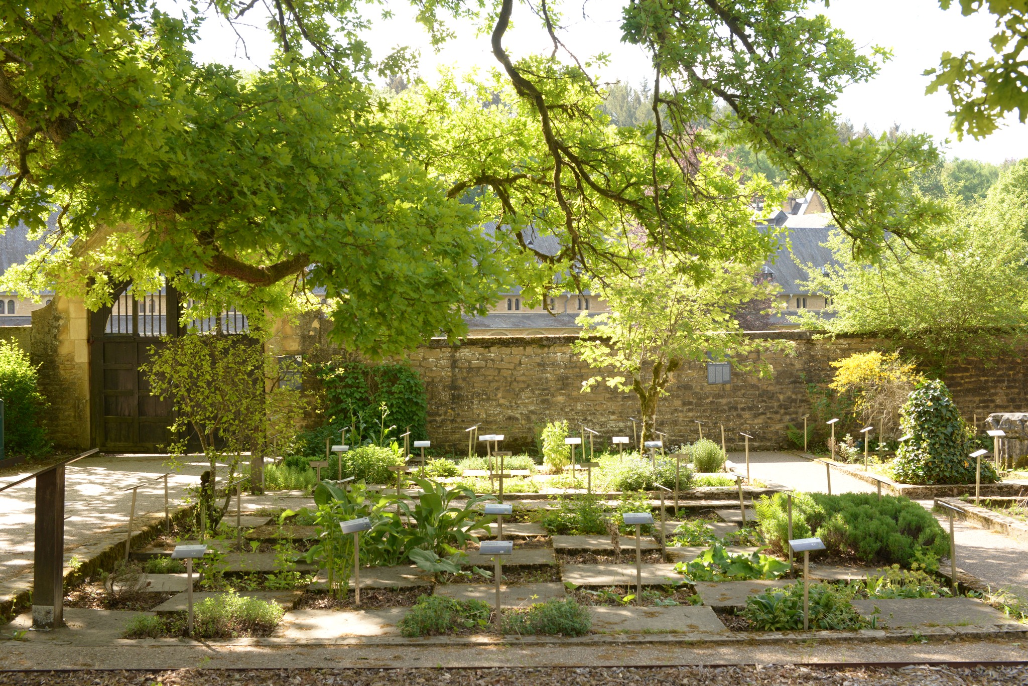 École des plantes Flores Aurei