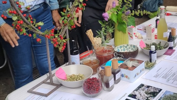 Journée de l'Herboriste à Orval 4e édition
