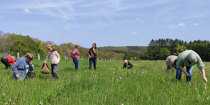 Les ateliers collectifs